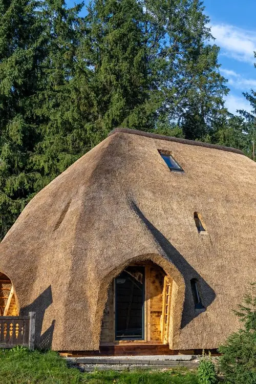 Regenerative lodge design in Southern Africa&nbsp;&hyphen;&nbsp;rewilding grounds and bio-based architecture for net-positive tourism in 2026